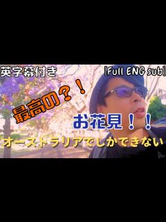 [x]に春を告げる花【ジャカランダ