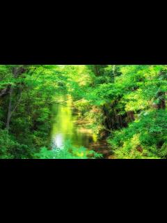 [x]玉川上水の歴史をたどる／東京の観光公式サイトGO TOKYO