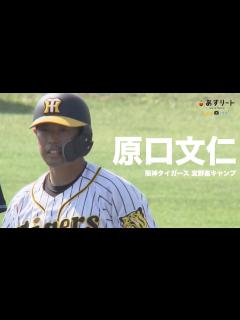 [x]【阪神タイガース】勝負強さ健在！原口文仁がチーム唯一の2打点！ドラ1佐藤は4試合連続安打！ | 2021.2.16【あすリートチャンネル ...