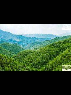 [x]江山如此多娇青山如此秀美|江山如此多娇|青山|绿树_新浪新闻