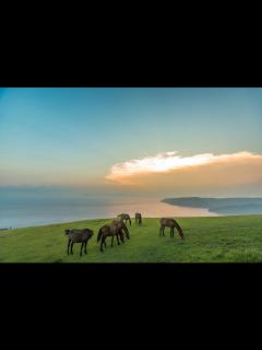 [x]一度は見てみたい！宮崎絶景5選｜九州への旅行や観光情報は九州旅ネット