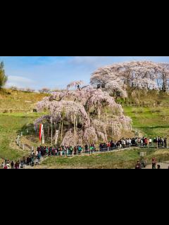 [x]HAPPY1で福島県郡山市ふくやま夢花火へ！2022年の混雑状況をレポート - YouTube