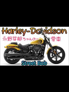 [x]永野芽郁ちゃんの愛車 ️ストリートボブに乗ってみた ️ ハーレーダビッドソン‼️🔥 - YouTube