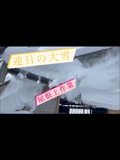 [x]飛び出た雪庇との戦い…牛大好き株式会社ファームスズキ【なおちゃんねる
