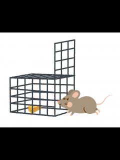 [x]【罠猟とは？】罠の種類・ポイント・必要な免許と試験の概要を解説！【罠猟経験者が語る】 - シューティングサプライ