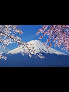 [x]日本六日游多少钱_中航国旅官网