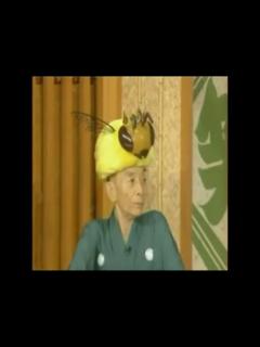 [x]笑点メンバー罵倒集 蛍から蜂へ - ニコニコ動画