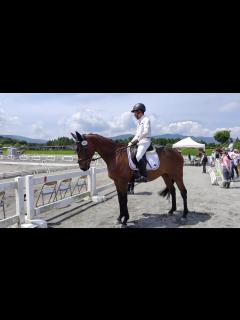 [x]第76回全日本馬場馬術大会 2024 PartⅡ 内国産馬第3課目馬場馬術競技（予選） - YouTube