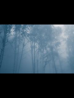 [x]水着な魔理沙さんで[A]ddiction - YouTube