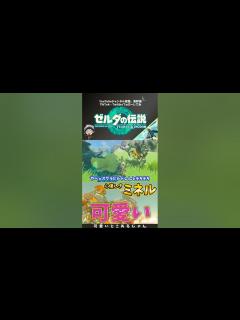 [x]【ティアキン】万全態勢のリンクさん、ミネルにまだ認められない【ゼルダの伝説 ティアーズ オブ ザ キングダム】#shorts - YouTube