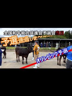 [x]全国和牛能力共進会予選に出品しました - YouTube
