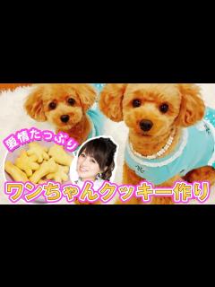 [x]【愛情たっぷり】愛犬のためにワンちゃんクッキーを作ってみた！【渡辺美奈代】 - YouTube