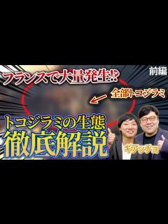 [x]【フランスで大量発生！？】プロの駆除業者によるトコジラミの生態徹底解説！前編 - YouTube
