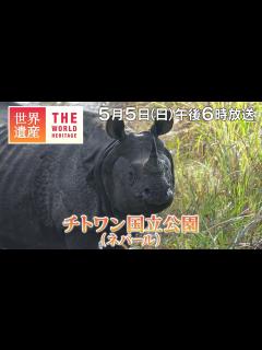 [x]【TBS世界遺産】ヒマラヤの麓！絶滅危惧種の宝庫～チトワン国立公園（ネパール）【5月5日午後6時放送】 - YouTube