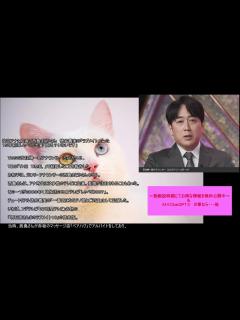[x]安住アナと結婚の西島まどかさん 徳井義実の「ラブメイト」だった 15年前にしゃべくり出演「彼氏？いないです」 - YouTube