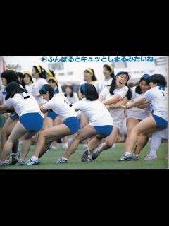 [x]Yahoo!オークション - 難有/アップル写真館/1990年4月/運動会ブルマ/女...