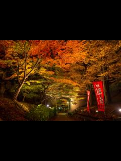 [x]錦秋に染まる上田市の秋 おすすめ紅葉スポット5選 | 信州上田観光協会