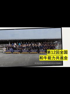 [x]第12回全国和牛能力共進会（種牛の部・肉牛の部） - YouTube