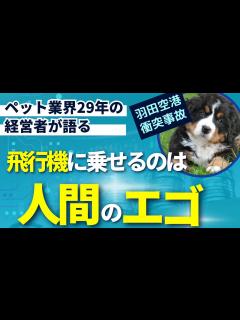 [x]【羽田衝突事故】人間のエゴでペットを連れて行かないで！ペット業界29年の経営者が語ります - YouTube