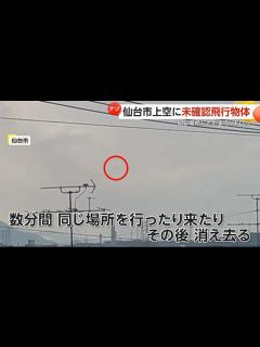 [x]【未確認飛行物体】仙台上空に浮かぶナゾの黒い点…UFOか!?ドローンか!?その正体は…「チョウゲンボウ」だ！｜FNNプライムオンライン