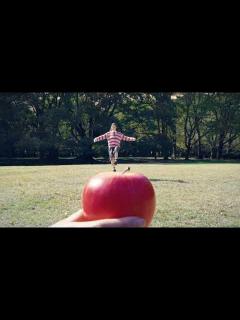 [x]秦 基博×草野マサムネ「ringo」Music Video Teaser - YouTube