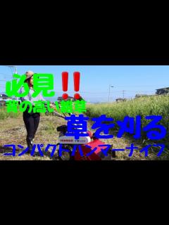 [x]自走式草刈り機。コンパクトハンマーナイフモアーで背の高い草を刈ります。 - YouTube