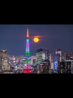[x]La Torre de Tokio, símbolo de la capital | Nippon.com