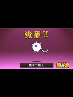 [x]にゃんチケ1000枚！｢真ネコ超人｣進化！【にゃんこ大戦争】 - YouTube