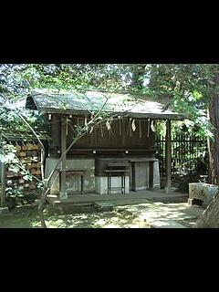 [x]玉川大学・玉川学園 キャンパスビュー Tamagawa University and Tamagawa Academy CAMPUS VIEW ...